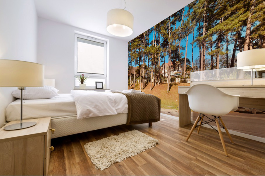 You Forgot Your Car Mural print