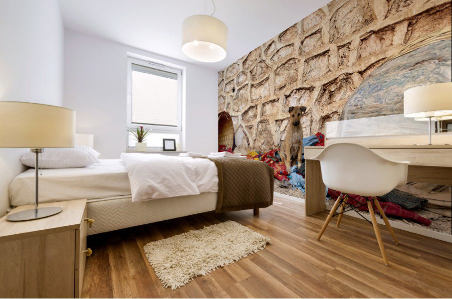 Dog Taking Over a Shop Mural print