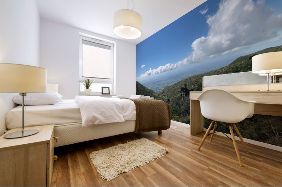 Hanging Clouds Mural print