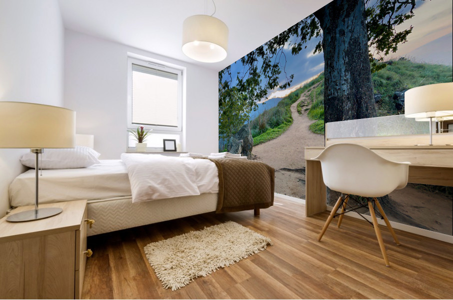 Mountain Path Mural print