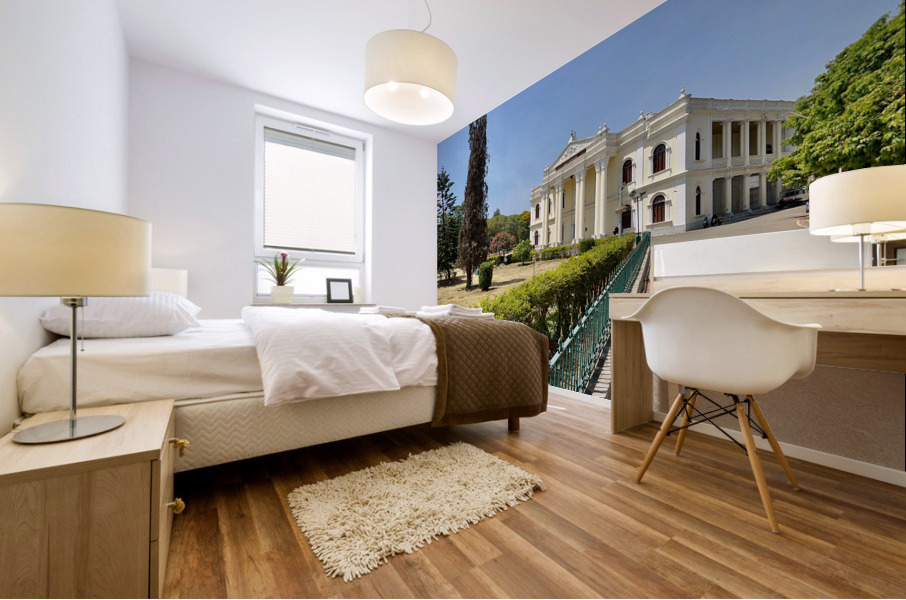 Mysore Town Hall Mural print