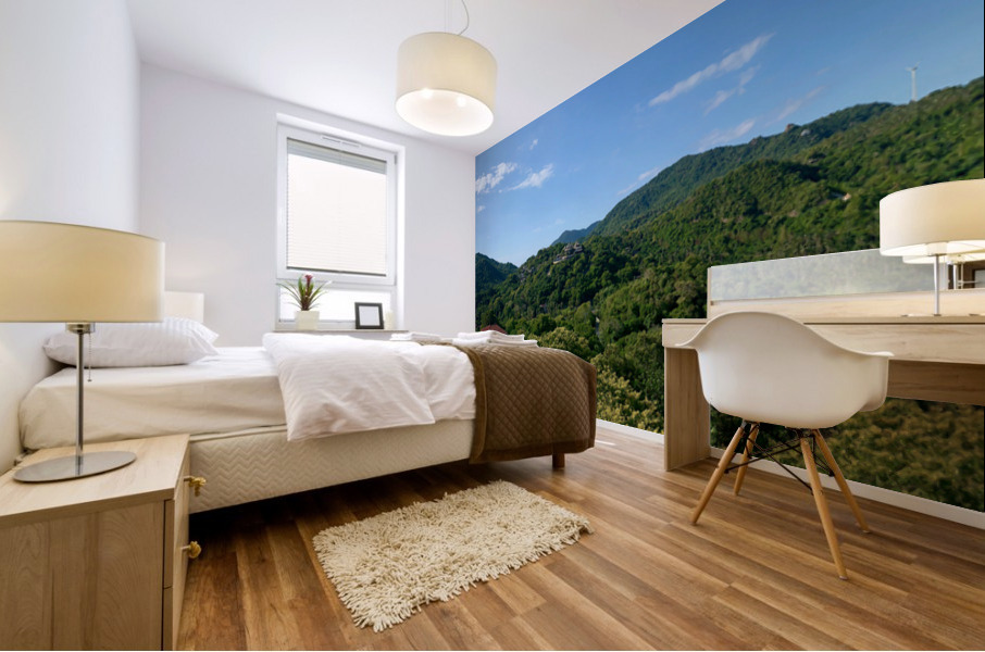 Two Bays Facing Koh Tao Thailand Mural print