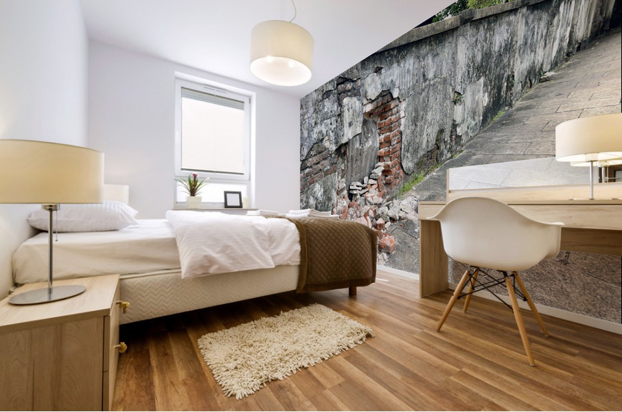 Another Brick in the Wall Mural print