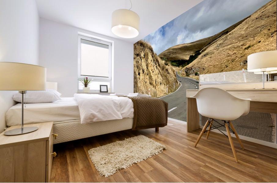 Mountain Highway 2 Mural print