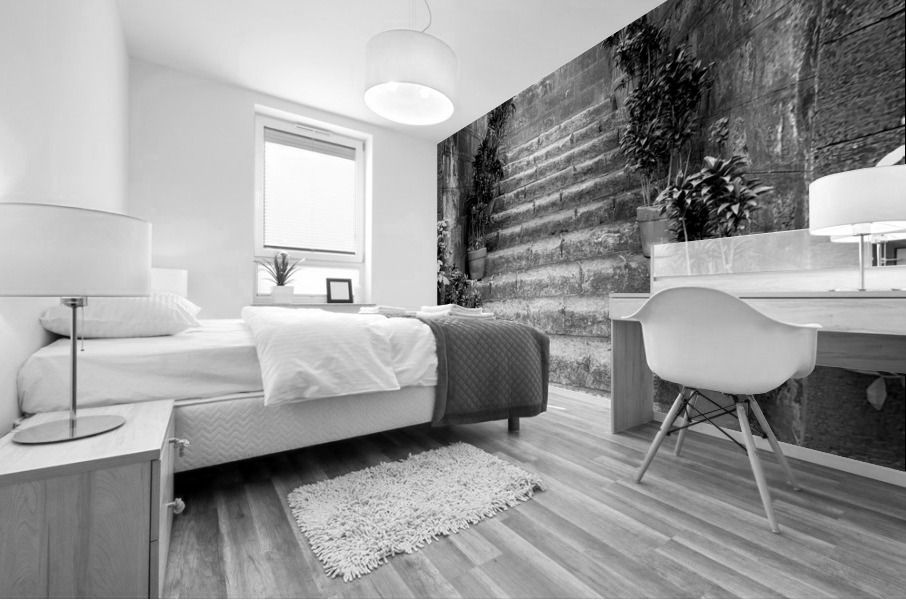 BW Stairs  Plants Mural print