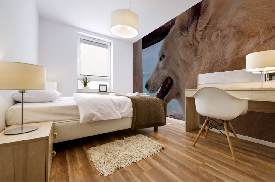 Beatiful White Dog Looking at the Sea Mural print