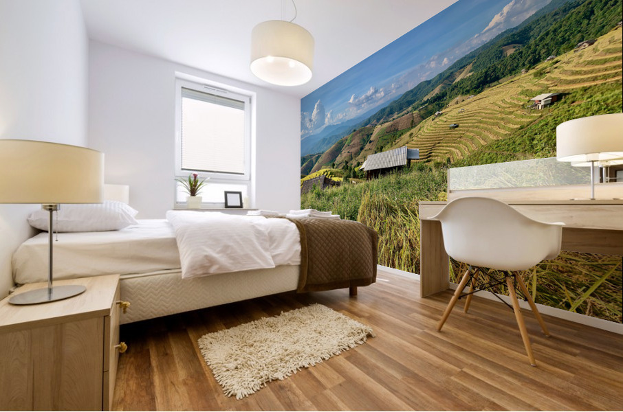 Colorful Rice Fields Mural print