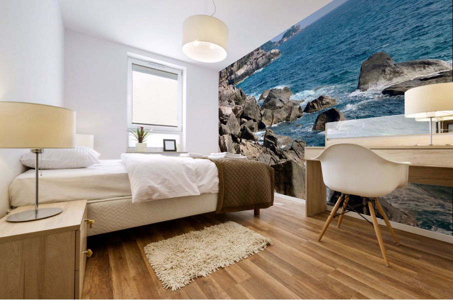 Island Coast Mural print