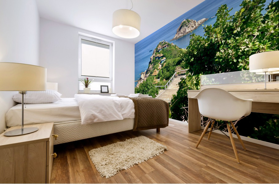 Sai Daeng Koh Tao 2 Mural print