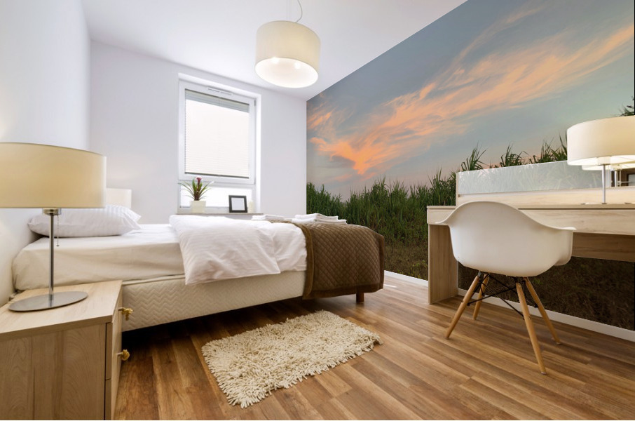 Calming Sky Mural print