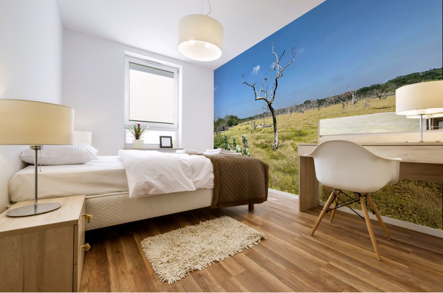 Yala National Park Sri Lanka 2 Mural print