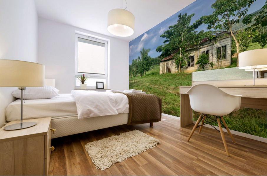 House on the Farm in the Philippines 2 Mural print