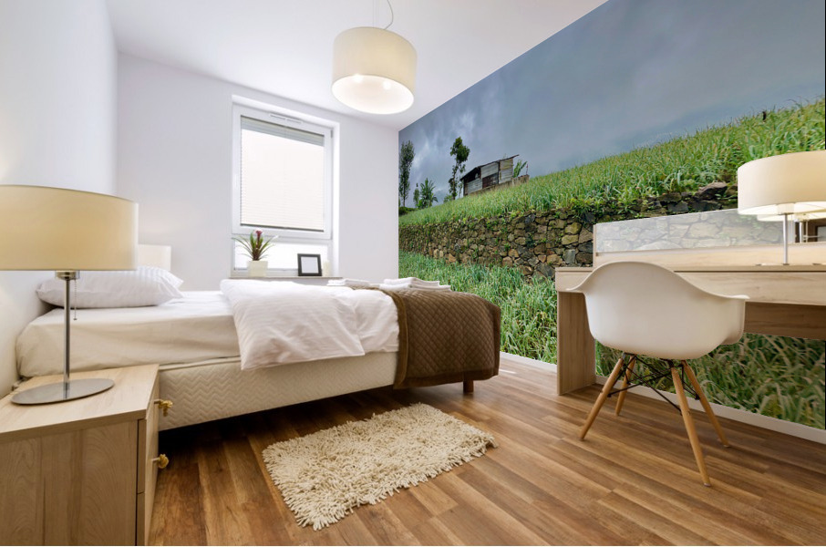 Leveled Field House Mural print