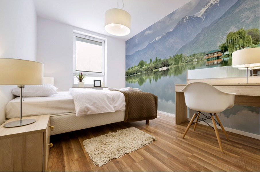 Dal Lake Srinagar 12 Mural print