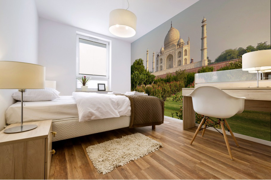 The Taj Mahal Collection 7 Mural print