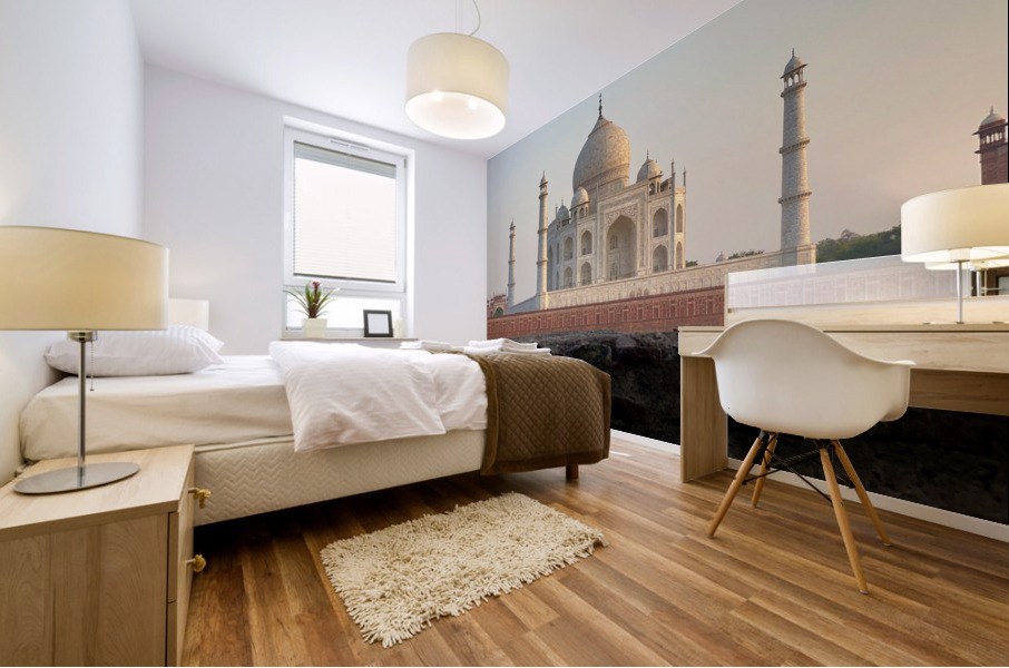 The Taj Mahal Collection 11 Mural print