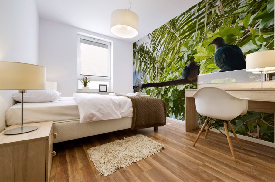 Bird Couple Koh Tao Thailand Mural print