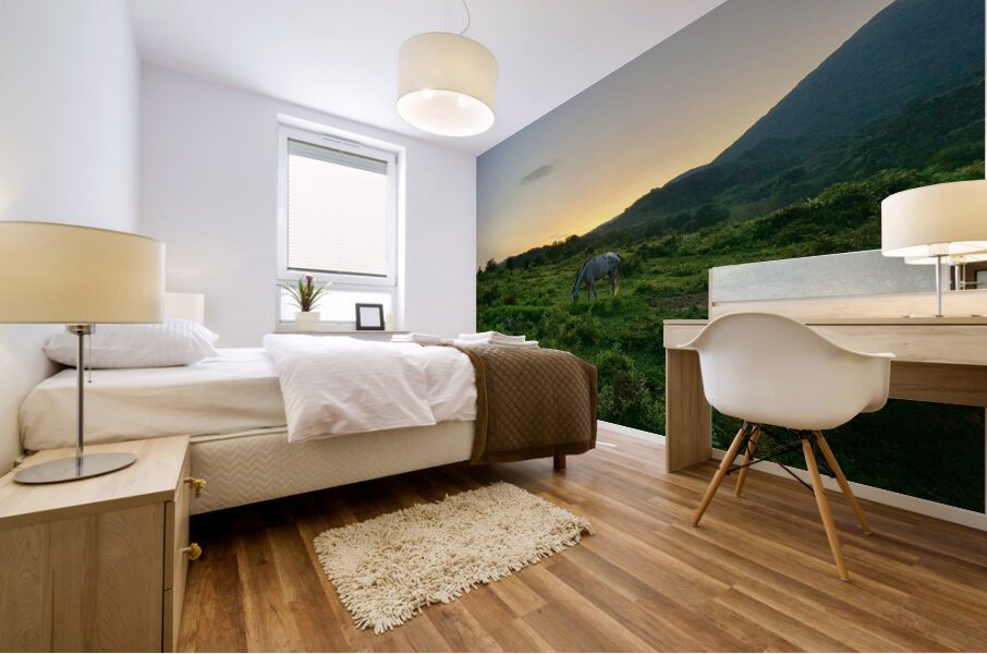 A Horse at Sunrise Jeju South Korea Mural print