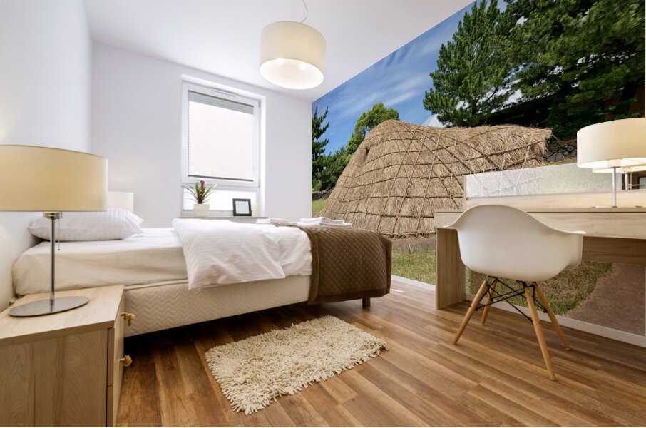 Traditional Village Hut Jeju South Korea 1 Mural print