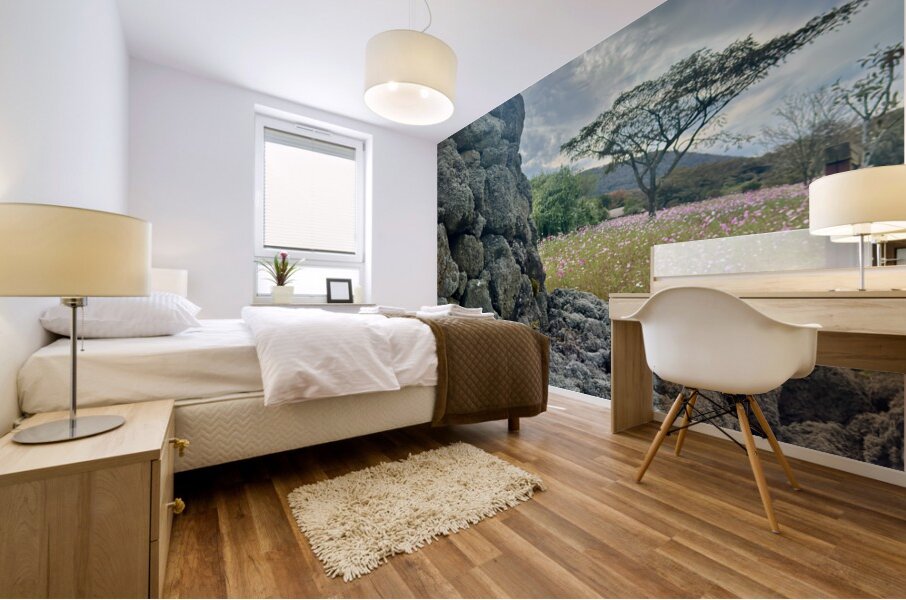 Stone Park Jeju South Korea 7 Mural print