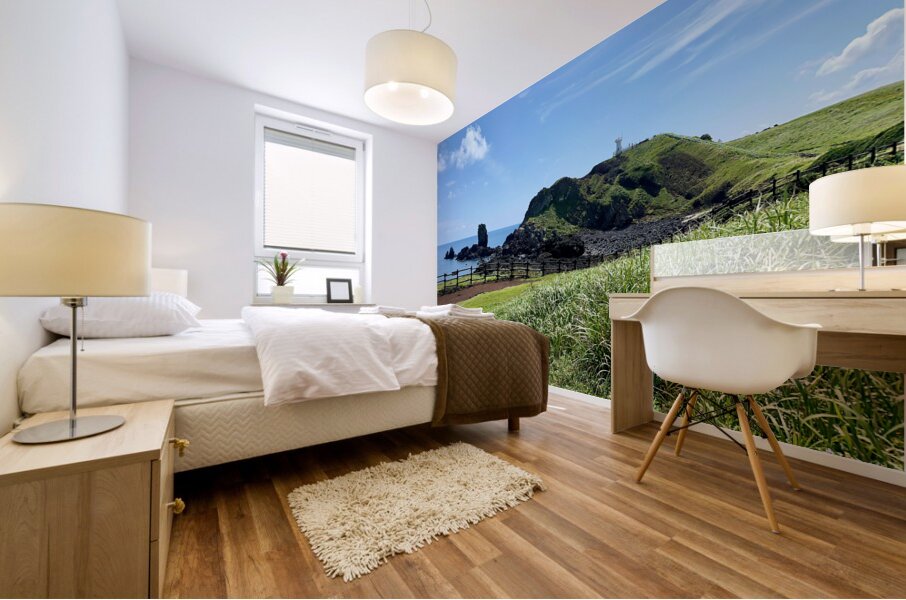 Seopjikoji Jeju South Korea 4 Mural print