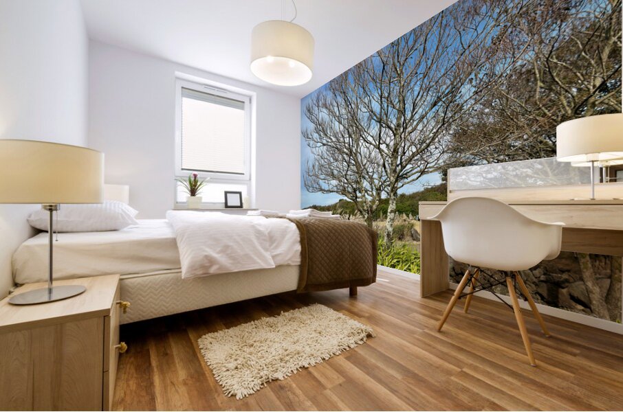 Stone Park Jeju South Korea 5 Mural print