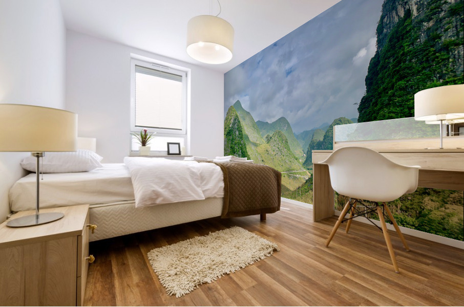 Windy Road in the Mountains Mural print