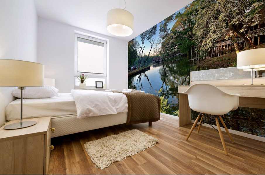 Village Reflection Mural print