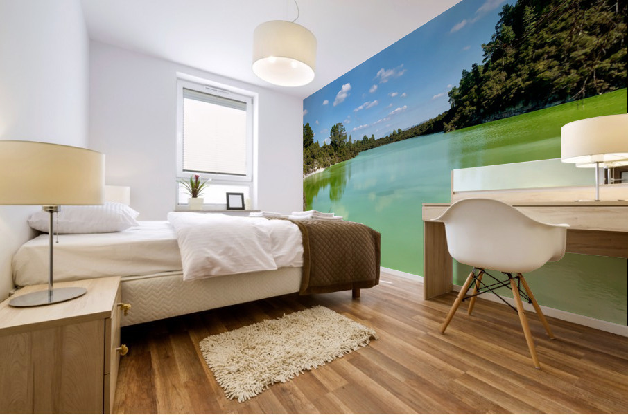 Green Lake Mural print