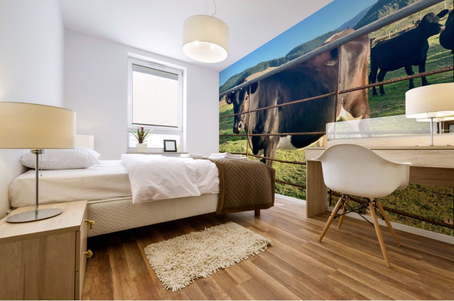 Cow Look Mural print