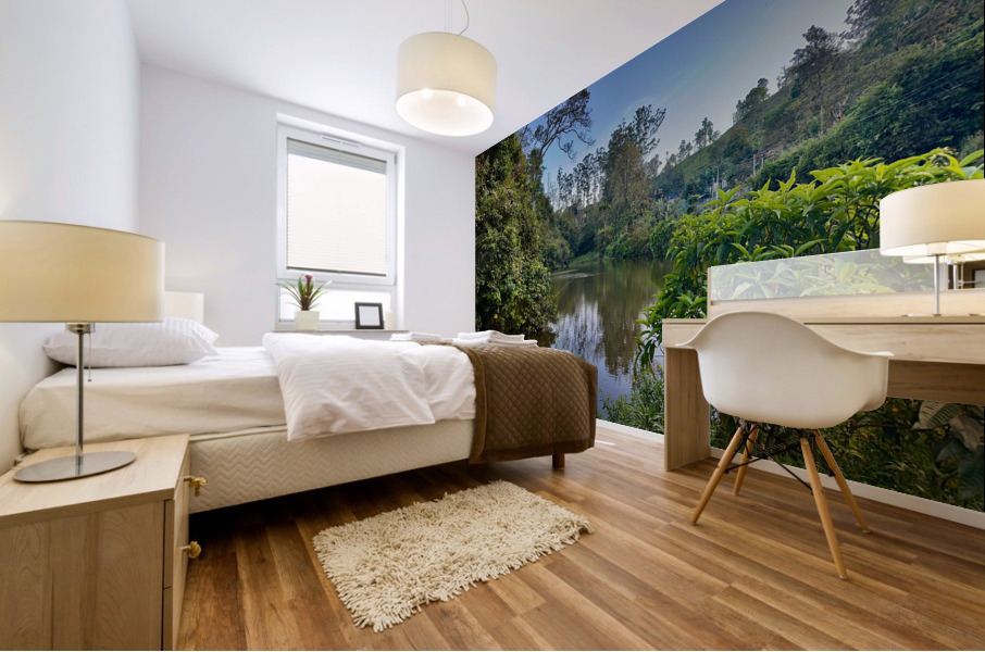 The Fisherman Mural print