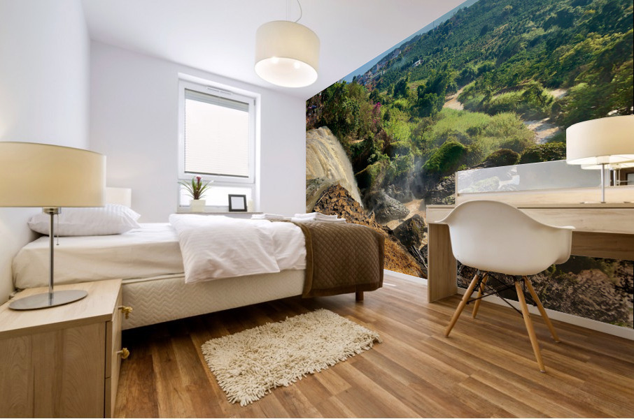 Elephant Waterfall Vietnam Mural print