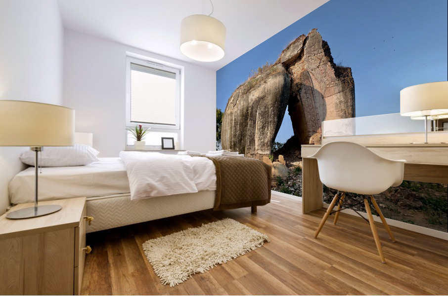Mingun Pahtodawgyi Elephant Rock Mural print
