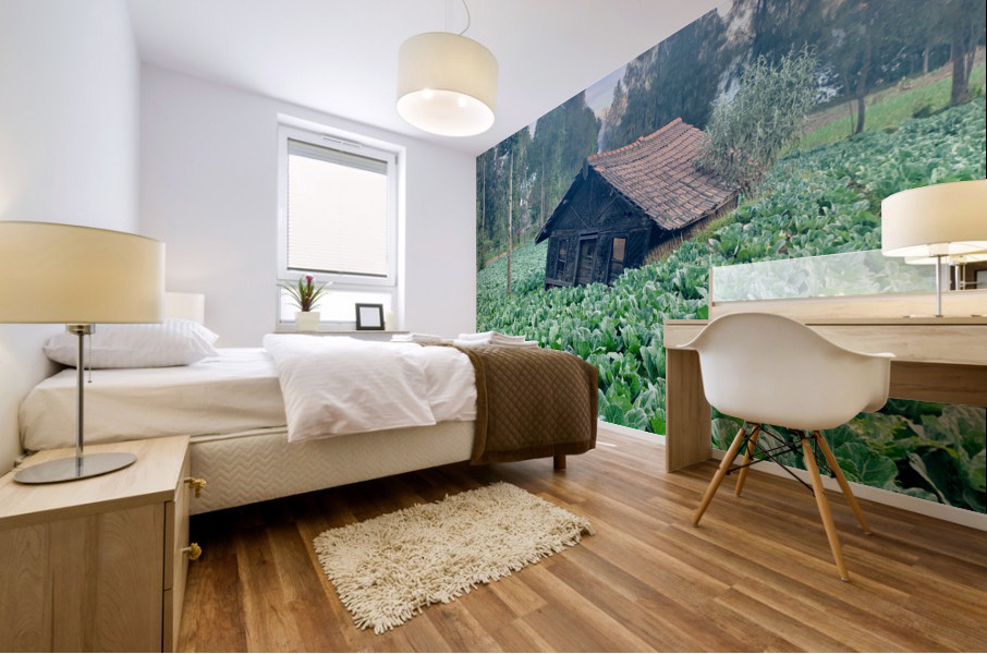 Little Cabbage House Mural print
