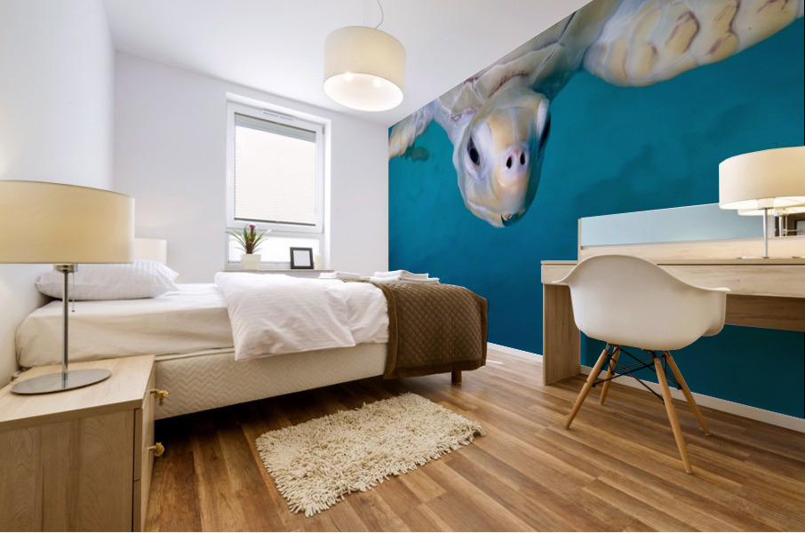 The White Turtle Mural print