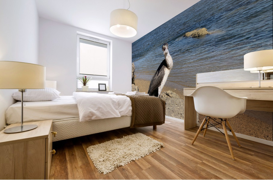 Angry Bird Mural print