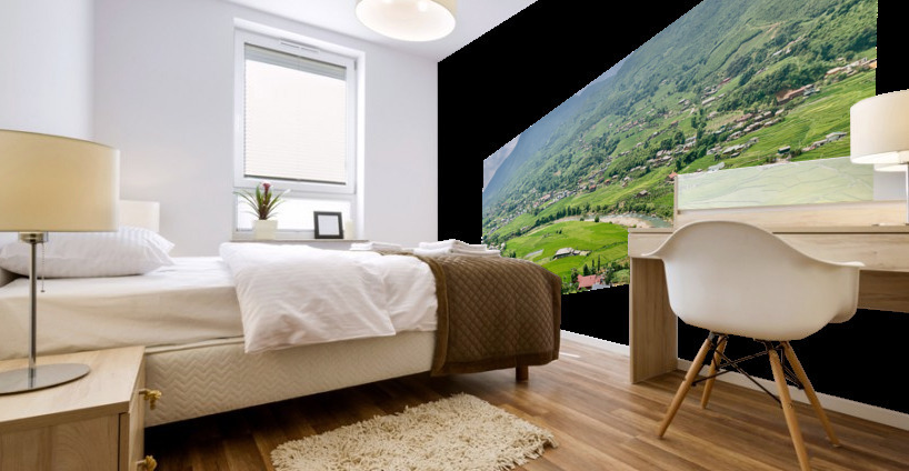 Rice Fields in Sapa 5 Mural print