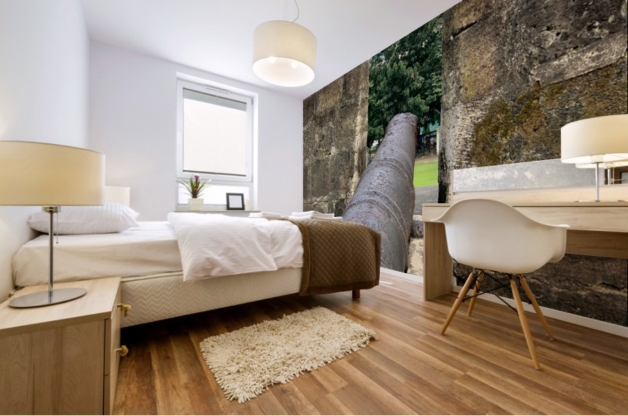 A Cannon in Manila Mural print