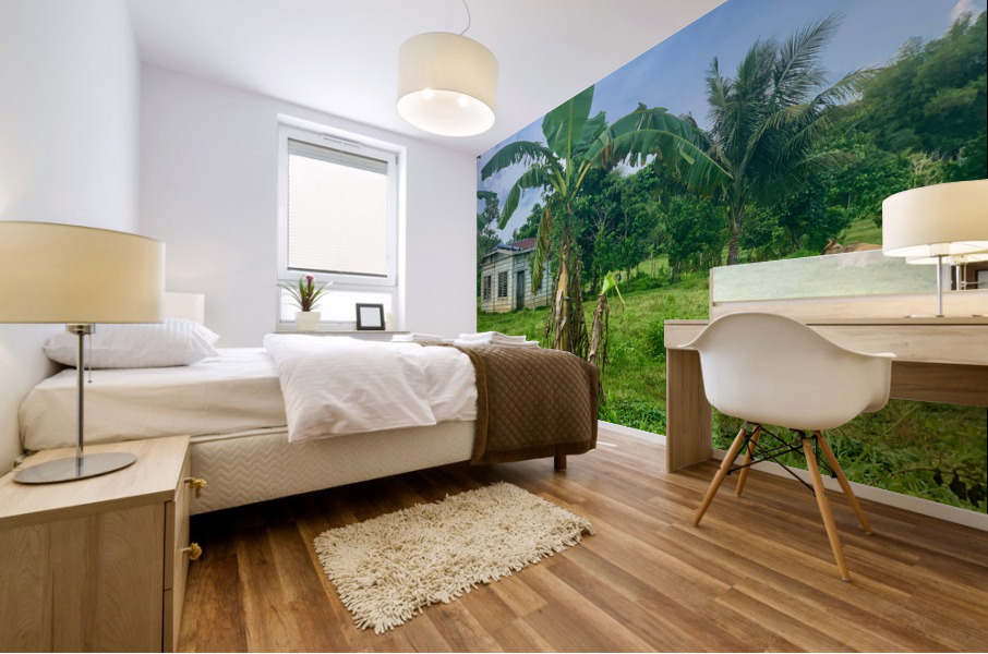 House on the Farm in the Philippines 1 Mural print