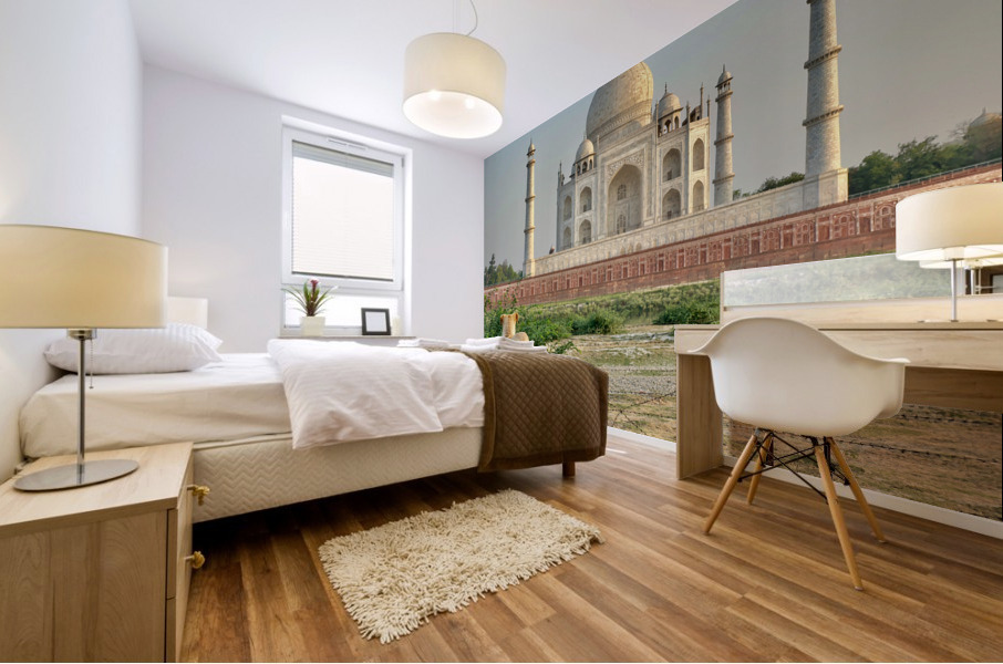 The Taj Mahal Collection 9 Mural print