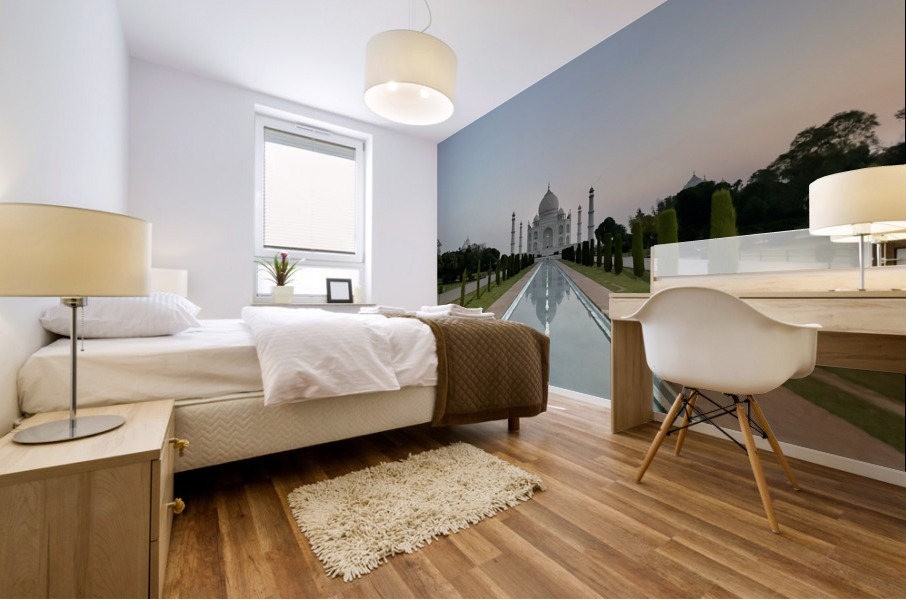 The Taj Mahal Collection 15 Mural print