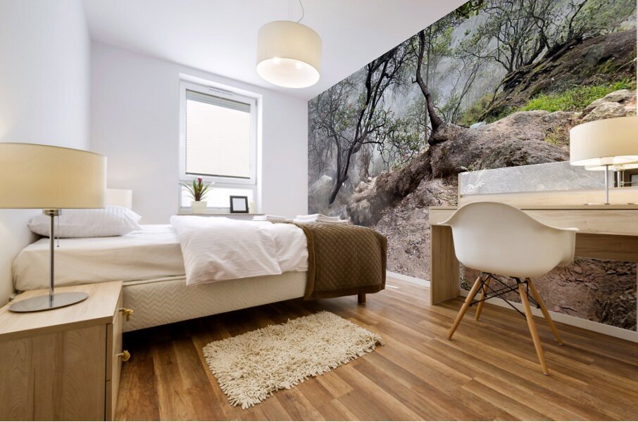 Cibuni Rengganis Crater Java Indonesia 6 Mural print