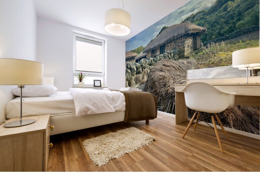 Stone Park Jeju South Korea 3 Mural print