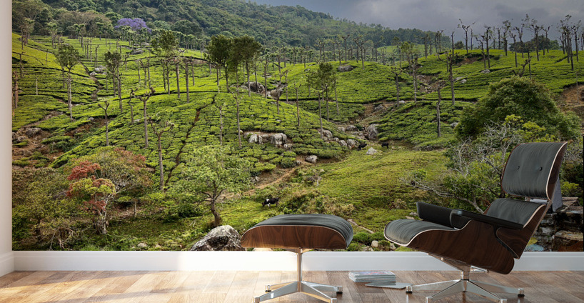 101 Tea Plantations Wall Murals