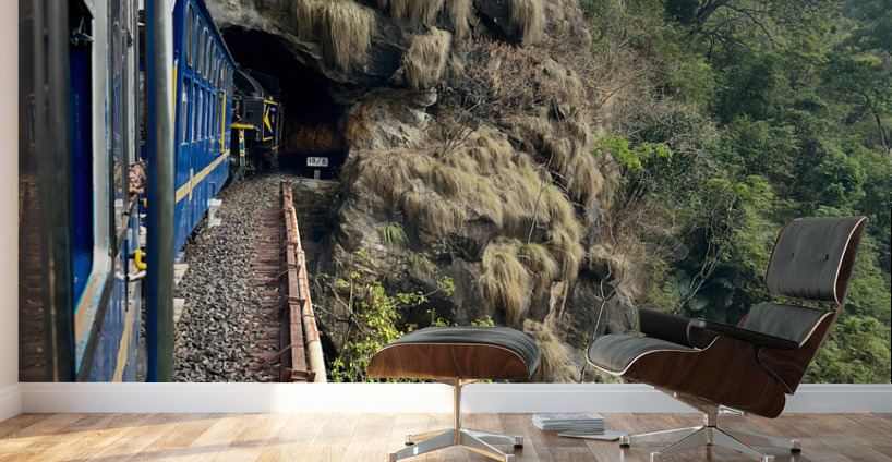 Toy Train Tunnel Wall Murals