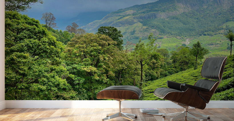 Tea Plantations 1 Wall Murals