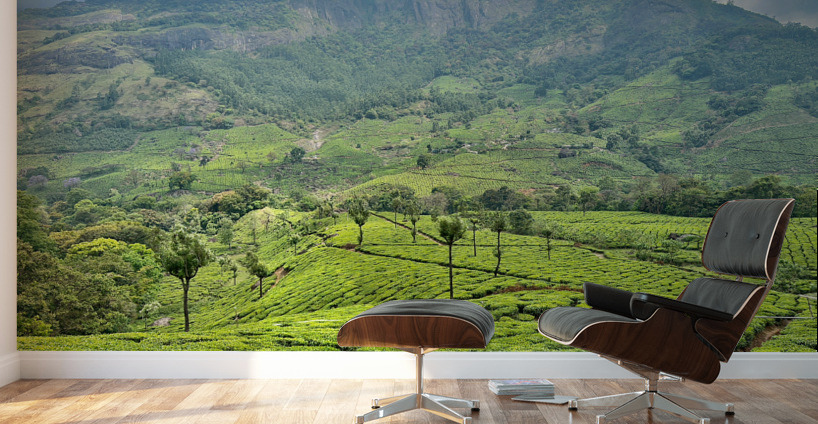 Tea Plantations 3 Wall Murals