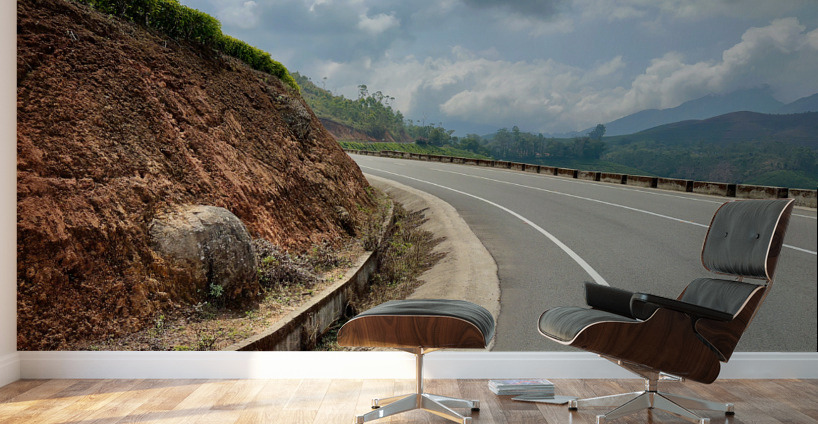 Drive by the Curve  Wall Murals