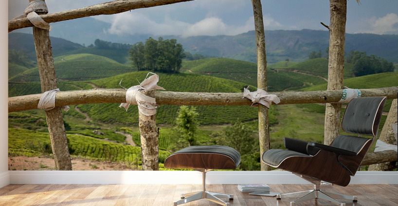 Peak a Tree Wall Murals