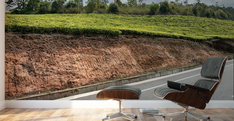 Tea by the Road Wall Murals